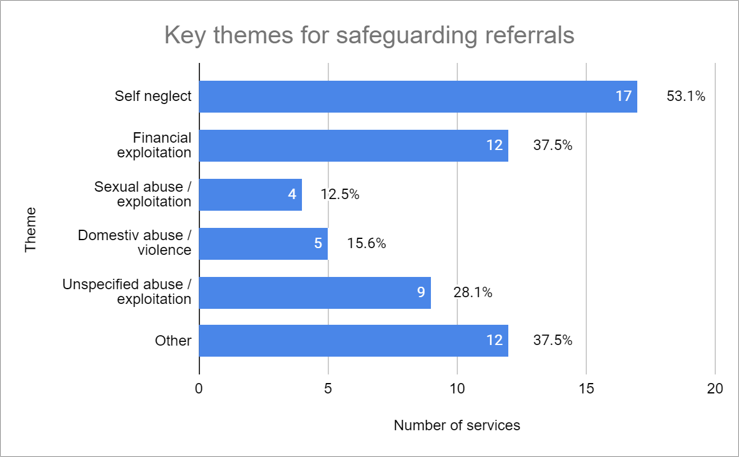 Bar chart showing key themes for safeguarding referrals. Theme on one axis, number of services on the other.