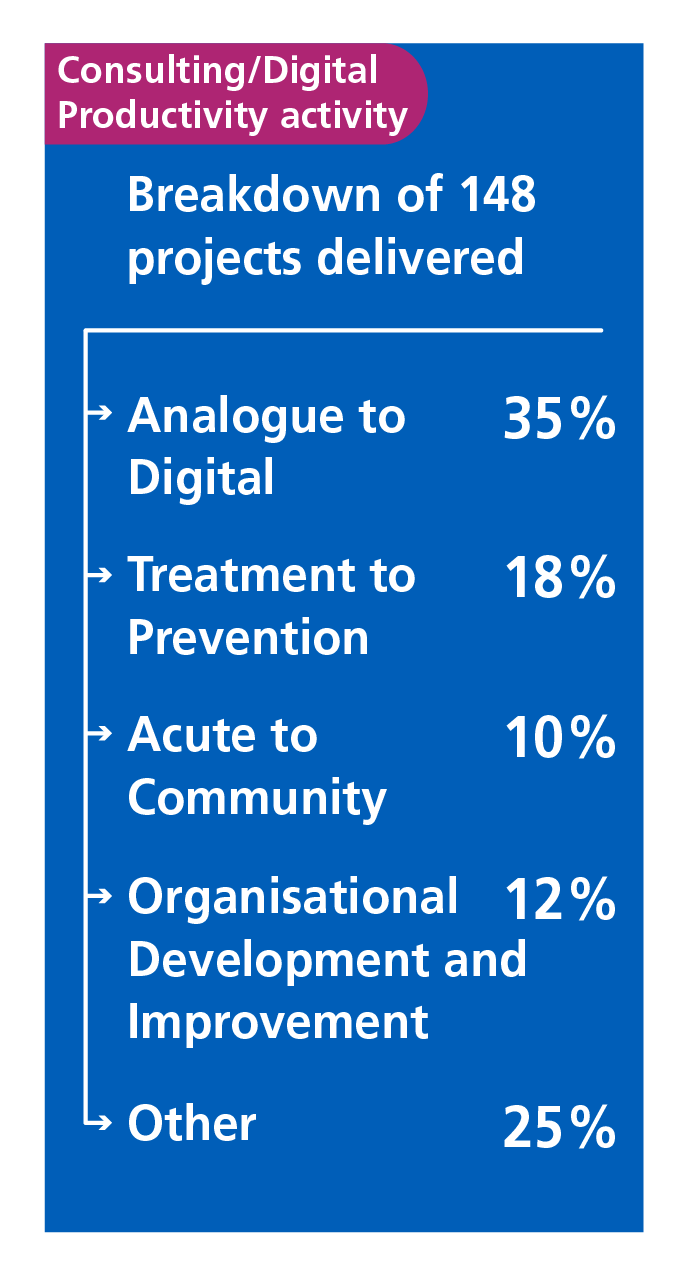 A breakdown of 148 projects delivered by the Consulting and Digital Productivity teams