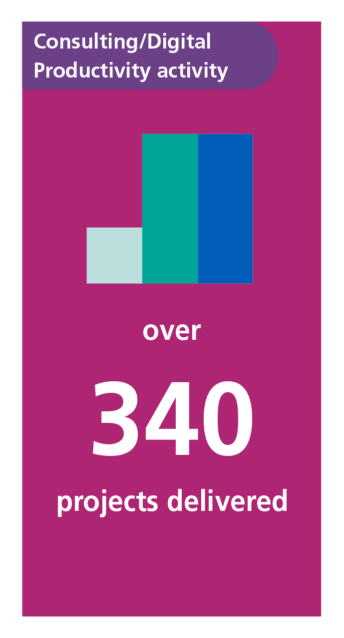 Consulting - Digital Productivity activity over 340 projects delivered